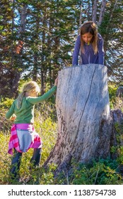 Manti, UT/ United States - September 2, 2012: Two Young Girl Cousins Climbing And Exploring Tree Stump In The Mountains 