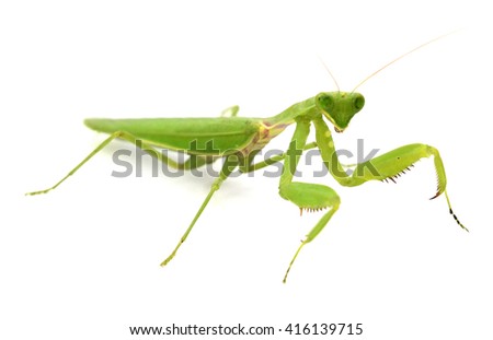 Mantid