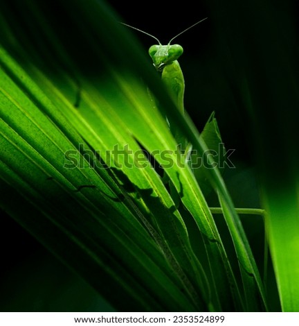 Image, Stock Photo time for togetherness