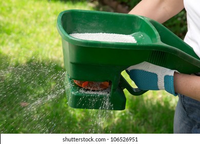 Manual Fertilizing Of The Lawn In Back Yard In Spring Time