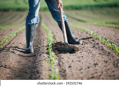 Manual Labor In Agriculture