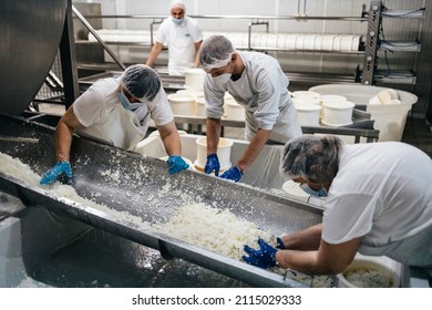 Manual Workers In Cheese And Milk Dairy Production Factory. Traditional European Handmade Healthy Food Manufacturing.