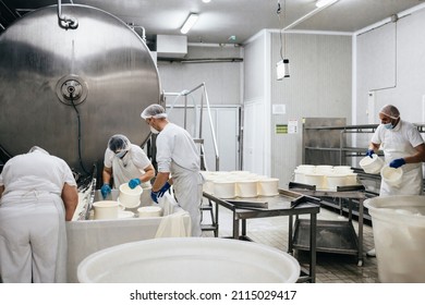 Manual workers in cheese and milk dairy production factory. Traditional European handmade healthy food manufacturing. - Shutterstock ID 2115029417