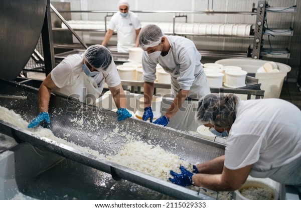 Manual\
workers in cheese and milk dairy production factory. Traditional\
European handmade healthy food\
manufacturing.
