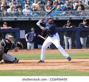 Manuel Margot  Center Fielder For The San Diego Padres At Peoria Sports Complex In Peoria, Arizona/USA February 24,2019.