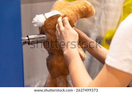 Manufacturing process of stuffing a soft toy on the toy factory. 