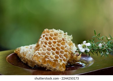 Manuka honey and flowers on nature background. - Shutterstock ID 2244250173