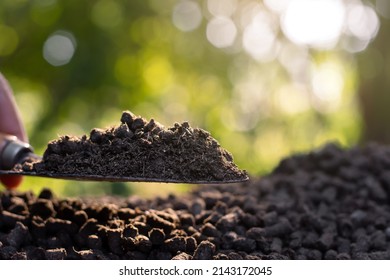 Manure or cow manure for cultivation and agriculture, cow dung pellets.