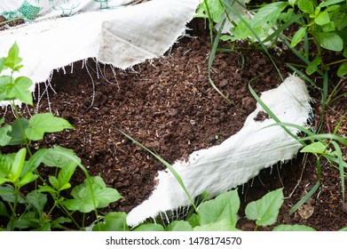 Imagenes Fotos De Stock Y Vectores Sobre Manure Garden Shutterstock