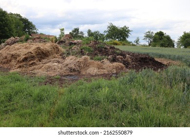 Manure heap in the countryside for decomposing into natural mulch. Natural fertilizer is used for bio organic farming and gardening. Straws, manure and other organic waste decomposing on the pile.