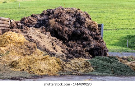 Manure Heap In Front Of A Green Meadow