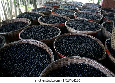 Many Acai Berries In Colander.