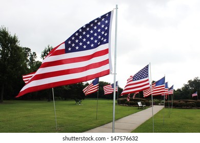 Many American flags in a memorial park