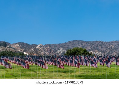 Many American flags set up in rows on a green grass field