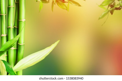 Bambou Zen Stock Photos Images Photography Shutterstock