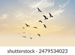 Many birds flying on dramatic sky background. 