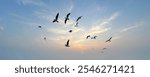 Many birds flying on dramatic sky background. 