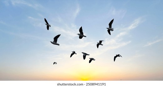 Many birds flying on dramatic sky background.  - Powered by Shutterstock