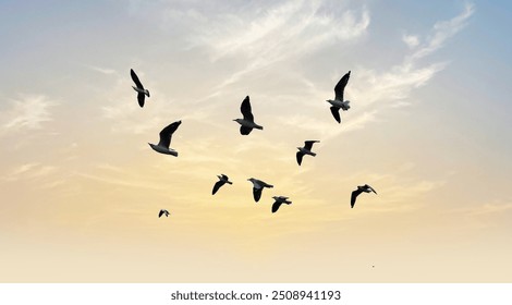 Many birds flying on dramatic sky background.  - Powered by Shutterstock