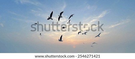 Many birds flying on dramatic sky background. 