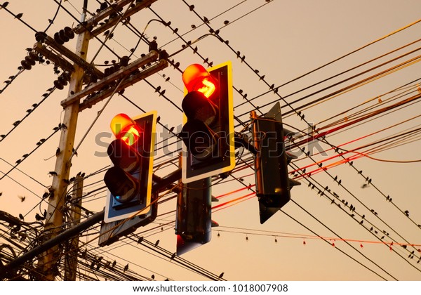 many birds holding on wired. Red traffic light\
with electric wire\
background