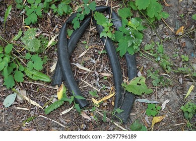 Many Black Long Plastic Hose Pipes Lies On Brown Ground And Green Grass Outside