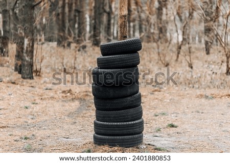 Many black old used black car tires are put on a tree trunk in the forest. Photography, concept.