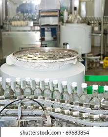 Many Bottles Of Vodka At Production Line Of Distillery