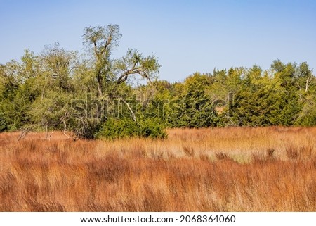 Many brown grass inside the Boiling Springs State Park at Oklahoma