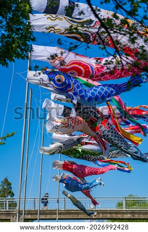 Many carp streamers fluttering in the air