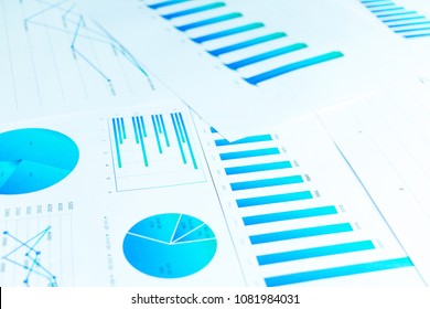 Many Charts And Graphs Reflect The Company's Concept Of Data Collection And Statistical Performance In The Past Year.