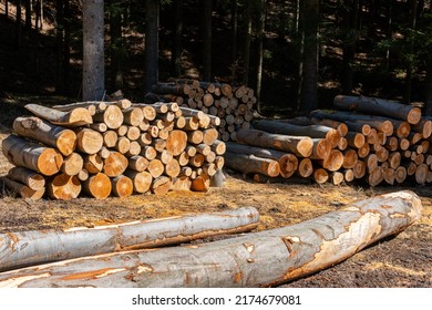 32,475 Woods cut Images, Stock Photos & Vectors | Shutterstock