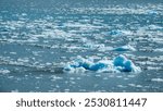 Many chunks of ice calved from the tidewater terminus of Margerie Glacier (off camera) and floating nearby in Glacier Bay National Park and Preserve, southeast Alaska. Environmental background.