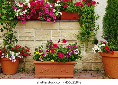 Many Clay Flowerpots With Blooming Plants At  The Rustic Stone Wall With Window. Ornamental Backyard Garden. Home House Decoration.