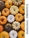 Many colorful mini pumpkins and gourds, view from above. Fall texture for background. Halloween or Thanksgiving celebration.