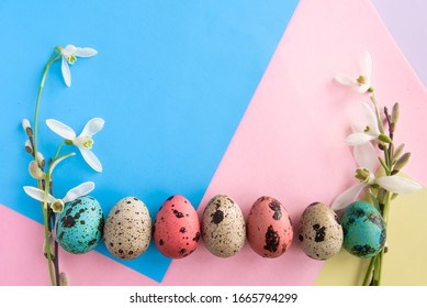 Many coloured small Easter eggs with spring flowers and willow branches on creative trendy pink and blue and yellow pastel background. Flat lay style.