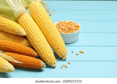 Many corncobs and kernels on light blue wooden table, closeup. Space for text