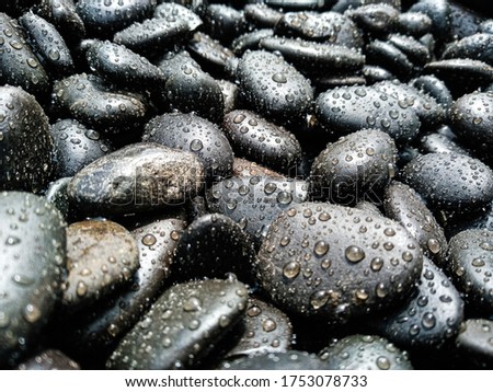 Many dark stones of various sizes covered with small drops of water, sprayed with water. Black, gray, dark brown pebbles. Flat black stones, round stones after rain.