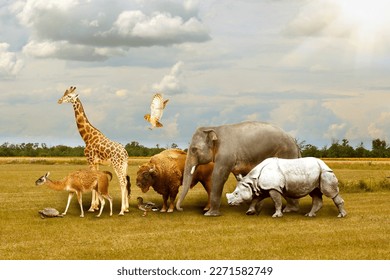 Many different animals walking under cloudy sky - Powered by Shutterstock