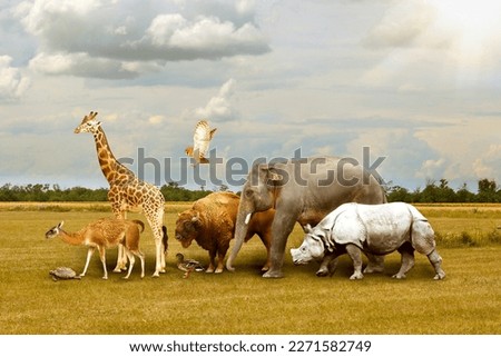 Many different animals walking under cloudy sky