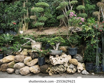 Many different bonsai plants and various river rocks in the flower shop. - Powered by Shutterstock