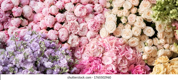 Flower Stand: afbeeldingen, stockfoto‘s en vectoren | Shutterstock