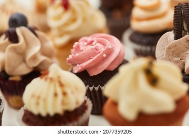 Many different cupcakes with decorations and toppings in a pastry shop