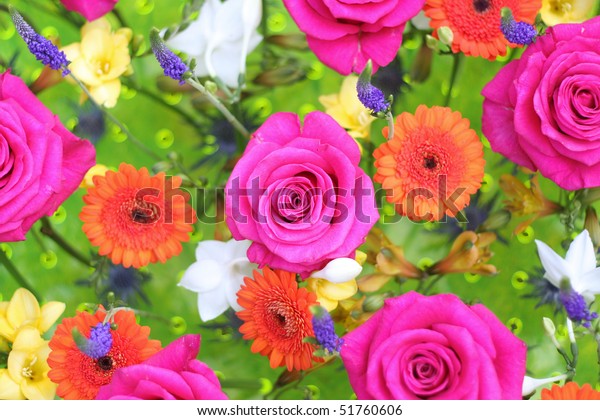 Many Different Kinds Flowers Background Image Stock Photo Edit Now 51760606