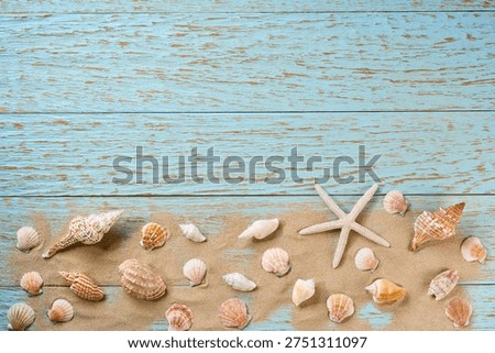 Many different seashells and beach sand, on a blu wooden background, copy space for text. Abstract summer background with beach sand and seashells, top view.