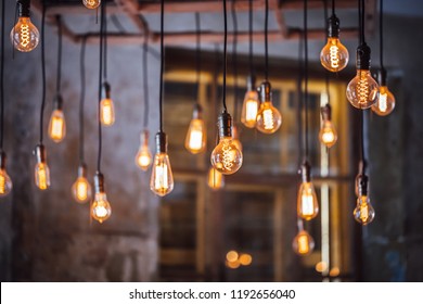 Many different vintage light bulbs hanging from ceiling, coffee shop interior 