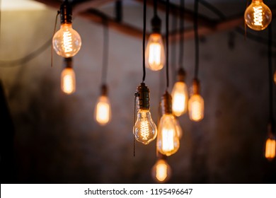 Many different vintage light bulbs hanging from ceiling, coffee shop interior 