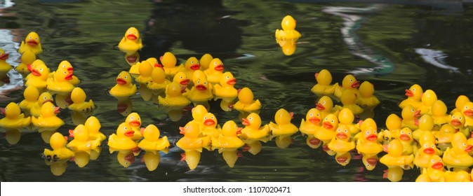 Many Ducky Toy Little Yellow Rubber Duck Bath Toy Floating On The River