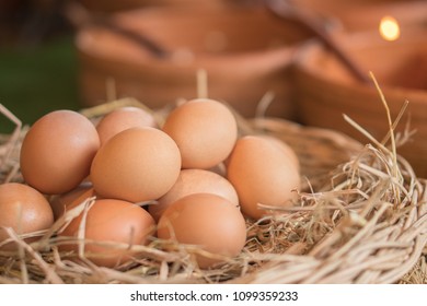 1,493,642 Egg Fresh Images, Stock Photos & Vectors | Shutterstock