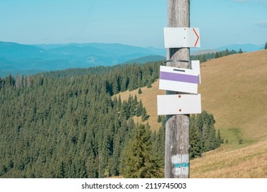 Many empty informational signposts on a mountain path. Forest nature. Wood. Huge park. Pole. Direction. Way. Help. Travel. Exploration. Info